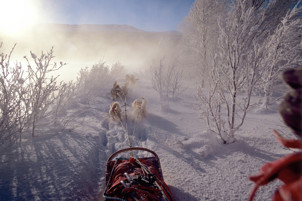 Bjorn-Klaue - Circuit Narvik – In cautarea Aurorelor Boreale